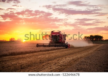 Combine harvesting the field of wheat on a sunset.