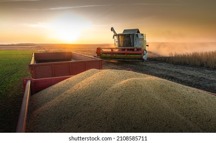 A combine harvesting soybeans at sunset - Shutterstock ID 2108585711