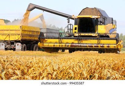 Combine Harvesting Wheat.