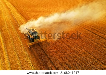 A combine harvester is harvesting grain crops on a cornfield in the evening sun seen from above