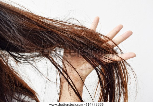 Combing with\
brush and pulls long hair. Daily preparation for looking nice, \
Long Disheveled Hair,Holding Messy Unbrushed Dry Hair In Hands.\
Hair Damage, Health And Beauty\
Concept.
