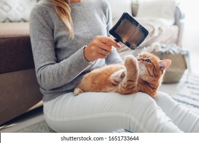 Combing Ginger Cat With Comb Brush At Home. Woman Taking Care Of Pet Removing Hair Sitting On Floor. Clean Animals