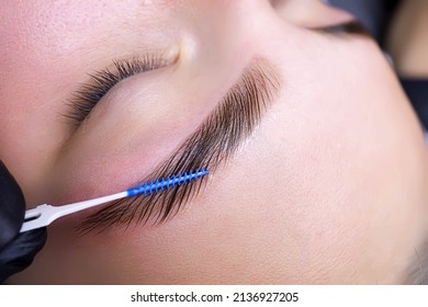 combing the hairs in the eyebrows with a brush after the procedure of coloring and laminating the eyebrows - Shutterstock ID 2136927205