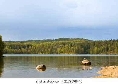 Come Enjoy The Nature Around Oslo City. The Forest And Beautiful Lake Could Heal You From Life Pressure. 