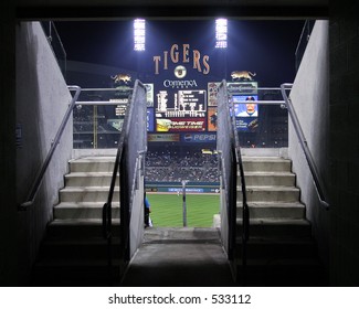 Comerica Park In Detroit