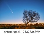 Comet C 2023 A3 Tsuchinshan-ATLAS streaks across a starry blue twilight sky above a bare tree and rural landscape in October 2024. The comet