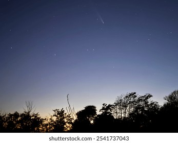 Comet dusk tree fall sky