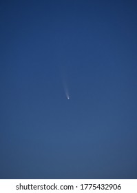 Comet Neowise in a blue sky.
