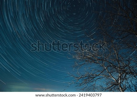 Similar – Image, Stock Photo moonlight Dusk Night Moon