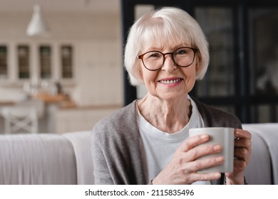Comfort relaxed senior old elderly woman grandmother drinking hot beverage tea coffee at home looking at camera in the living room. Pension concept.