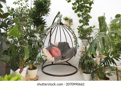 Comfortable egg chair and beautiful houseplants in room. Lounge zone interior