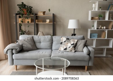 Comfortable Grey Sofa In Empty Cozy Rent Living Room In Own Home Dwelling. Comfy Couch Furniture With No People In Renovated New House Or Apartment. Moving, Relocation, Interior Design Concept.