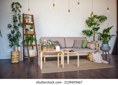 comfortable sofa in the interior