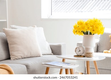 Comfortable sofas, coffee table and vase with narcissus flowers in light living room