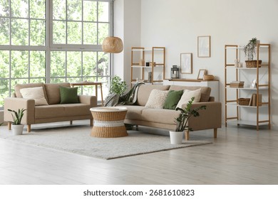 Comfortable sofas, wicker table and houseplants near window in interior of living room