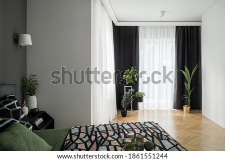 Similar – Image, Stock Photo Houseplants behind the curtain