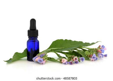 Comfrey Herb In Flower With Aromatherapy Essential Oil Glass Bottle, Over White Background With Reflection.