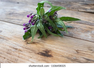 Comfrey On Table