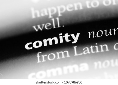 comity word in a dictionary. comity concept - Shutterstock ID 1078986980