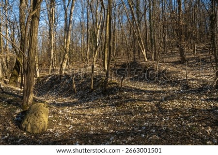 The Zhukov’s Command Post Bunker at Seelow Heights, Brandenburg, Germany