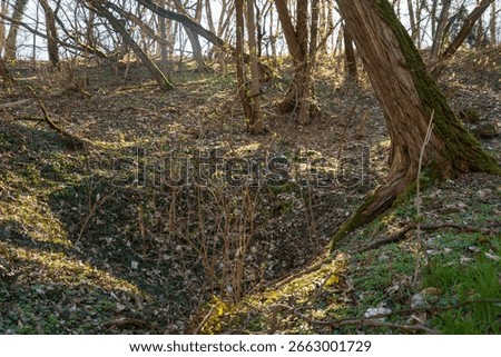The Zhukov’s Command Post Bunker at Seelow Heights, Brandenburg, Germany