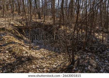 The Zhukov’s Command Post Bunker at Seelow Heights, Brandenburg, Germany