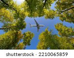 A commercial airliner flies through the gap in the canopy of a deciduous forest in summer