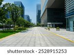 Commercial center streets and skyscrapers