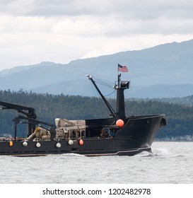 Commercial Crab Fishing Vessel Near Juneau, Alaska