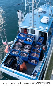 Commercial Fishing Boat Loaded With Boxes Of Harvested Monk Fish, Cod, And Blue Fish Cleaned By Two Unidentifiable Persons. Aerial Top View.