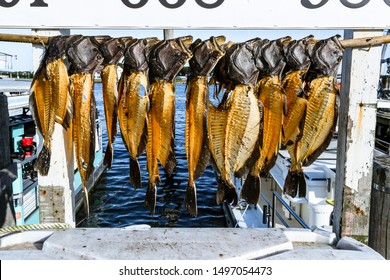 Commercial Fishing In Montauk, New York