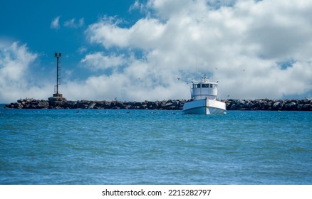 Commercial Fishing Trawler In Harbor Fishing Along Coast With Sea Birds Following The Boat In The Ocean Off California