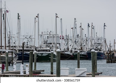 The Commercial Fleet At Cape May, NJ