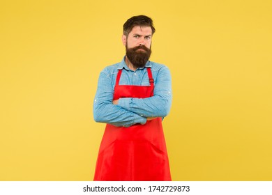 Commercial Kitchen. Entrepreneur In His Modern Look. Bearded Chef Or Waiter Wearing Red Apron. Brutal Waiter Or Barista. Barber Man In An Apron With Long Beard. Handsome Confident Guy Master.