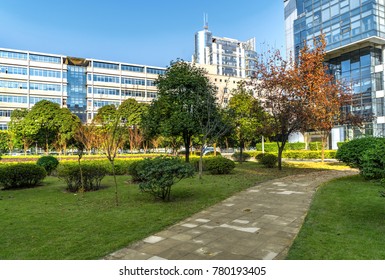 Commercial Office In The Park In Chongqing, China