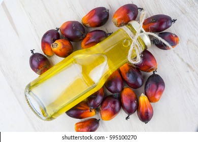 Commercial palm oil cultivation. Since palm oil contains more saturated fats its use in food. Oil from Elaeis guineensis is also used as biofuel. It is used as a cooking and in packed food products