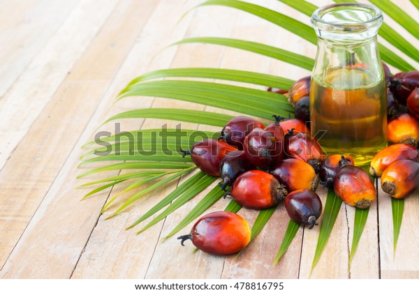 Commercial palm oil cultivation. Since palm oil\
contains more saturated fats  its use in food. Oil from Elaeis\
guineensis is also used as biofuel. It is used as a cooking and in\
packed food products