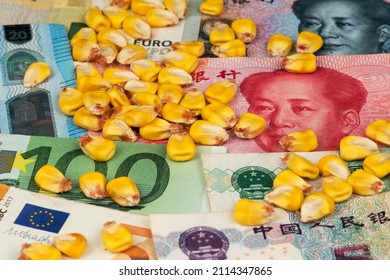 Commodity Trading Concept. Corn On China Yuan And Euro Banknotes. Corn Prices China Europe