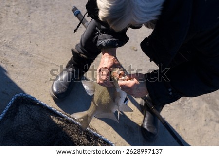 common bream with a baited hook