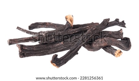Common comfrey root isolated on white background. Dry roots of Symphytum officinale.