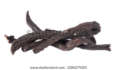 Common comfrey root isolated on white background. Dry roots of Symphytum officinale