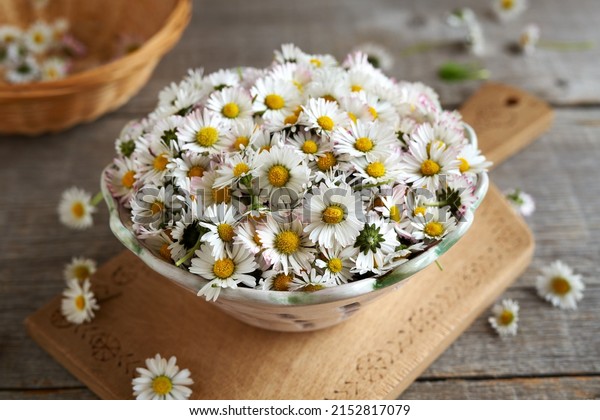 Common daisy\
flowers in a bowl on a wooden\
table