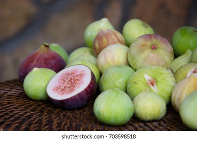 Common Fig