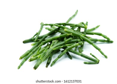 Common Glasswort Isolated On White