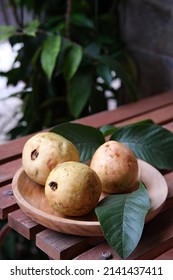 Common Guava Jambu Biji Jambu Klutuk Stock Photo 2141437411 | Shutterstock