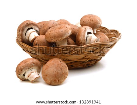 Similar – Image, Stock Photo Mushrooms in basket Food