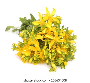 Common St. Johnswort Flower ( Tutsan ) Isolated On White Background