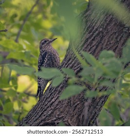 A common starling perched atop a gnarled tree branch in a lush forest setting - Powered by Shutterstock