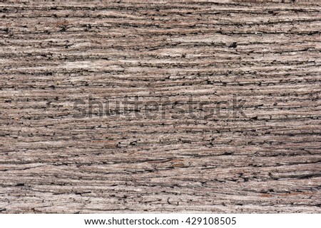 common texture and pattern of anatural wood.