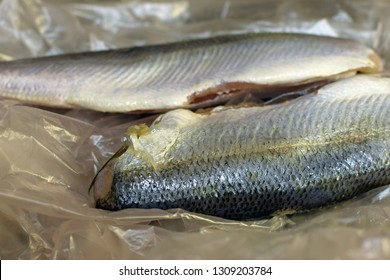 Common Whitefish. Close Up Of Raw Fishes.